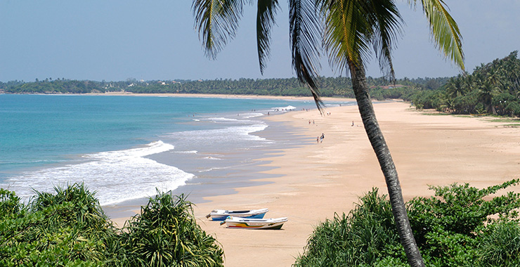 Sri Lanka Mirissa Beach down south